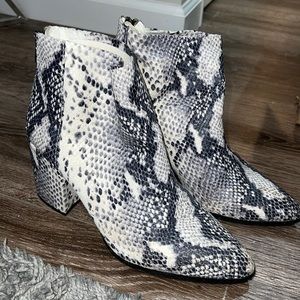 Steve Madden Snake Booties